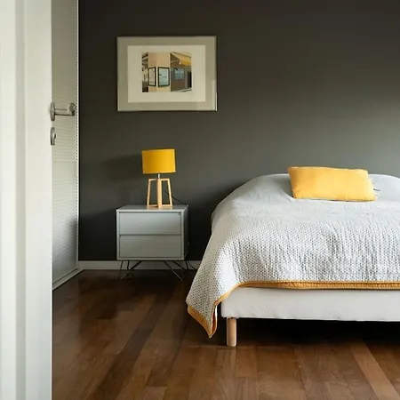 Superbe Maison D'architecte Entierement Climatisee Avec Piscine Et Professionnel Talence