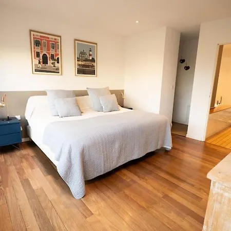 Willa Superbe Maison D'architecte Entierement Climatisee Avec Piscine Et Professionnel Talence