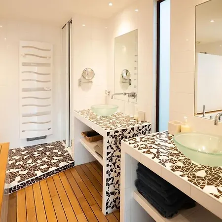 Superbe Maison D'architecte Entierement Climatisee Avec Piscine Et Professionnel Villa Talence