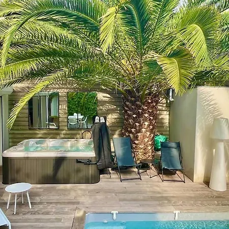 Superbe Maison D'architecte Entièrement Climatisée Avec Piscine Et Professionnel Villa Talence