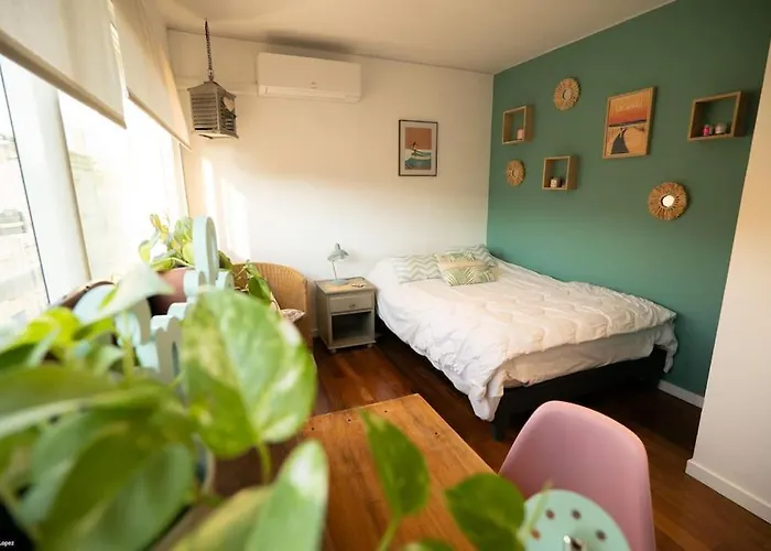 Superbe Maison D'architecte Entierement Climatisee Avec Piscine Et Professionnel Villa Talence